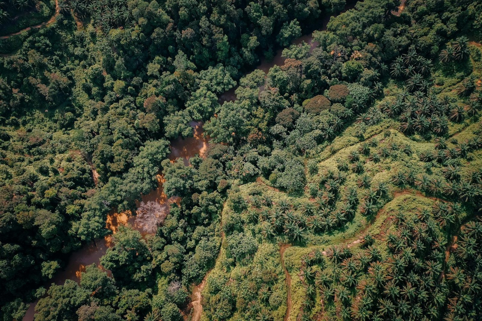 tipos de terreno en Las Terrenas