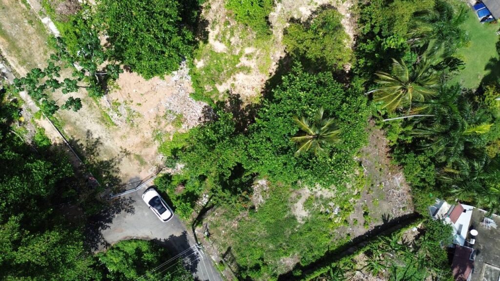 land in the hills of Las Terrenas