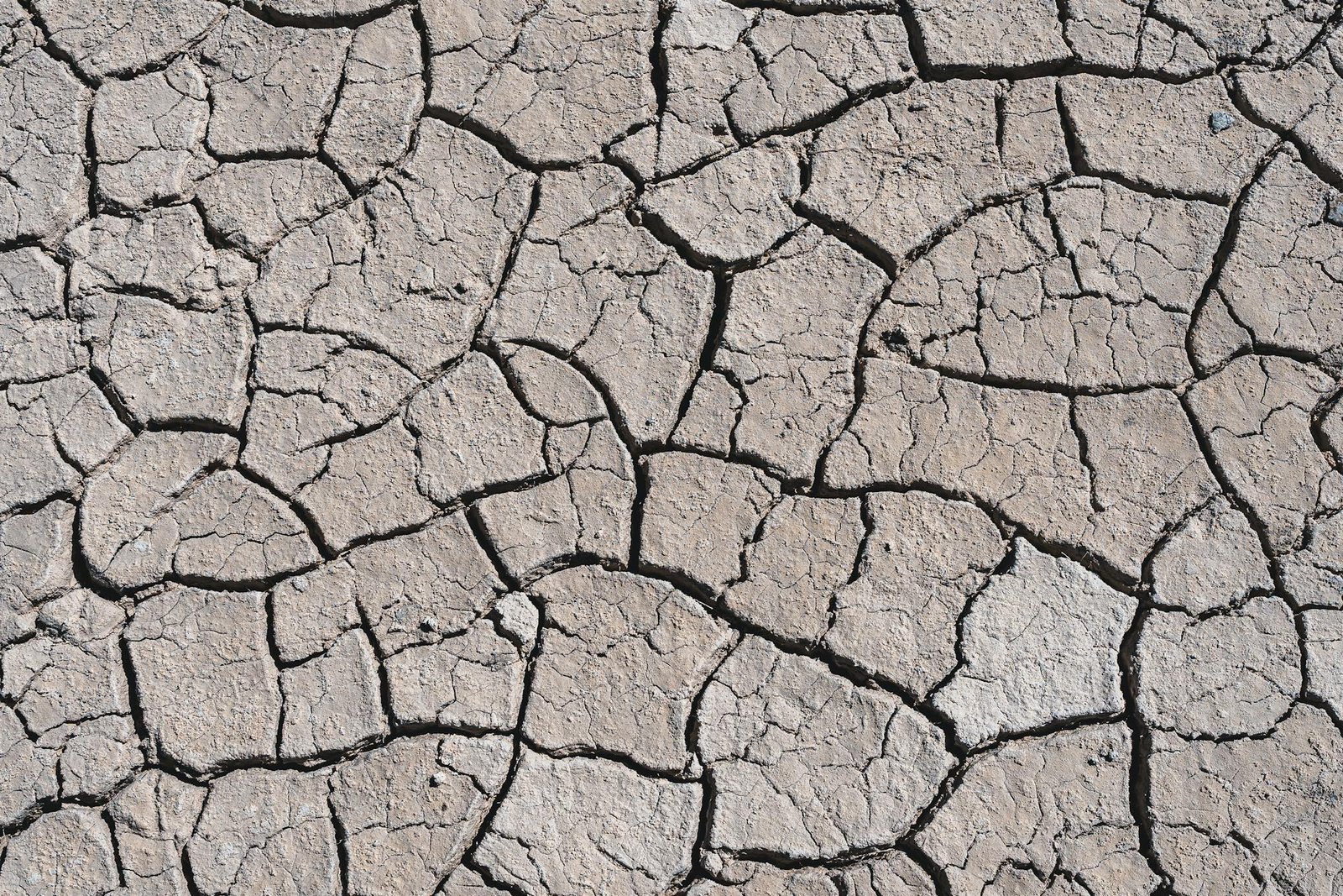 How earthquakes in the Dominican Republic affect construction All Project Group earthquakes in the Dominican Republic