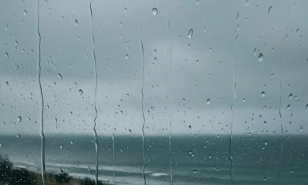 Rainwater harvesting in homes: a practical guide All Project Group Rainwater harvesting in homes